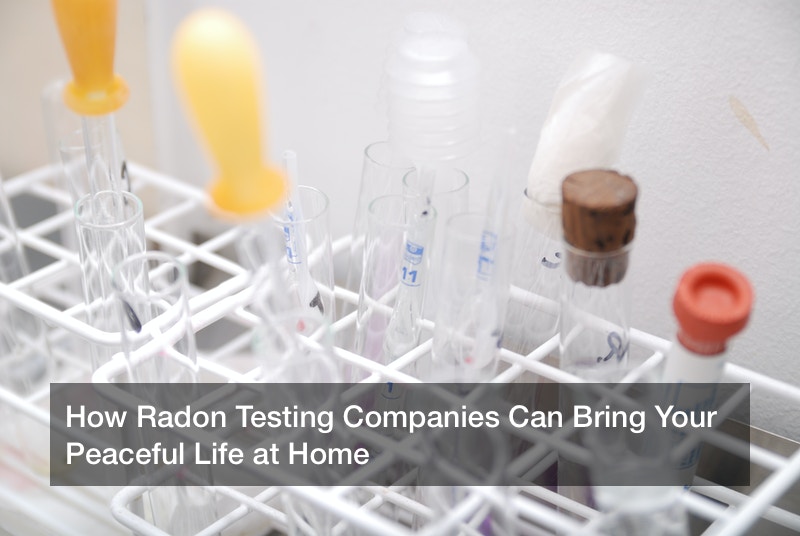 How Radon Testing Companies Can Bring Your Peaceful Life at Home