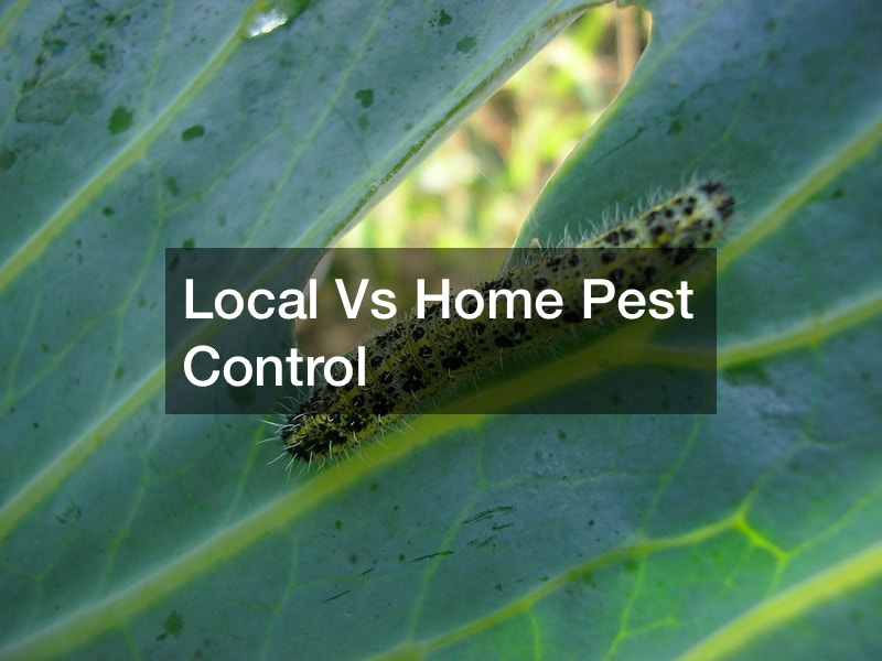 Local Vs Home Pest Control