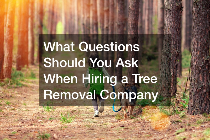 What Questions Should You Ask When Hiring a Tree Removal Company