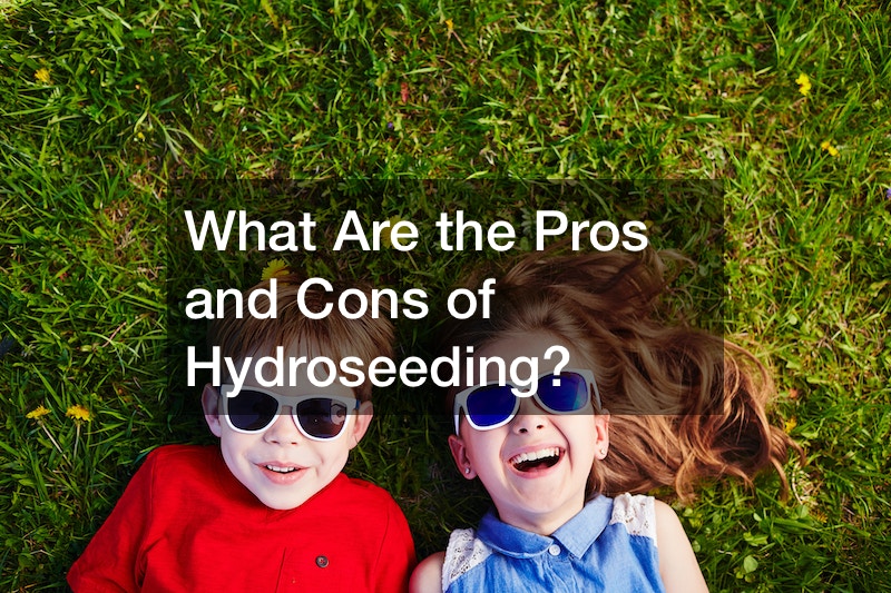 What Are the Pros and Cons of Hydroseeding?