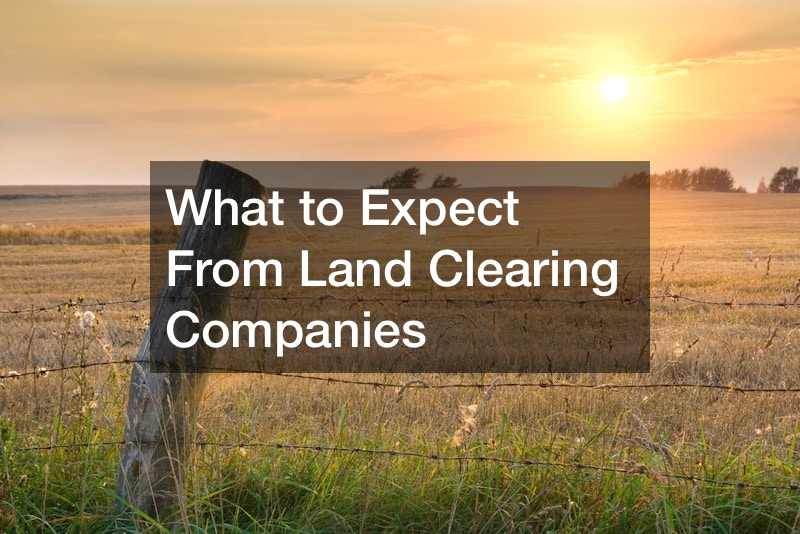 What to Expect From Land Clearing Companies