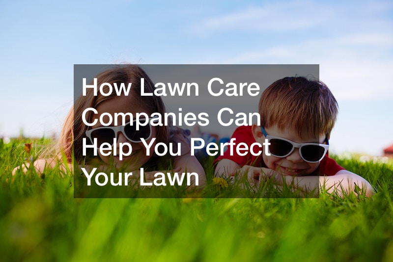 How Lawn Care Companies Can Help You Perfect Your Lawn