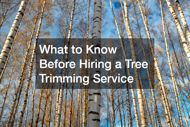 What to Know Before Hiring a Tree Trimming Service