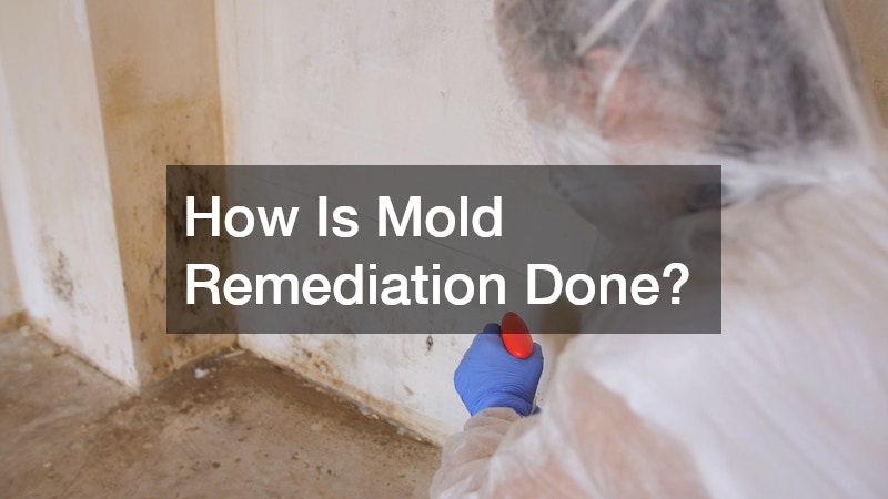 How Is Mold Remediation Done?